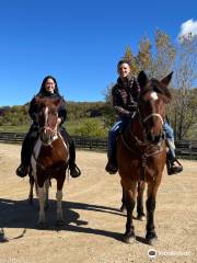 Shenandoah Riding Center