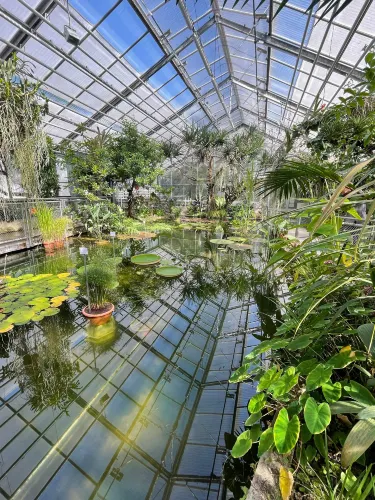 Jardín Botánico de Jena