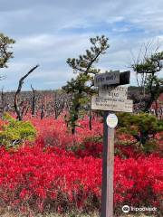 Sam's Point Area of Minnewaska State Park Preserve