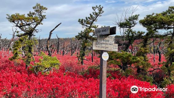 Sam's Point Area of Minnewaska State Park Preserve