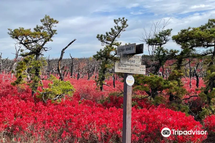 Sam's Point Area of Minnewaska State Park Preserve