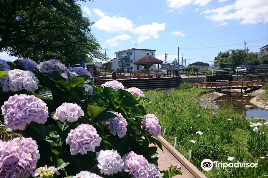 堀川菖蒲園