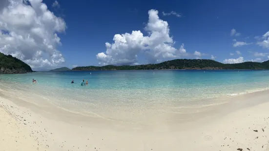 Coki Point Beach