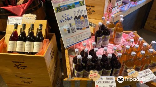 Furano Winery