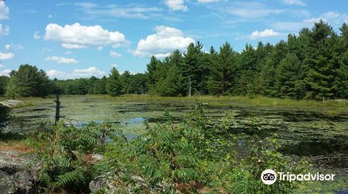 Six Mile Lake Provincial Park