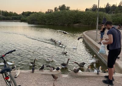 Parco sensibilizzazione ambientale "Antonis Tritsis"