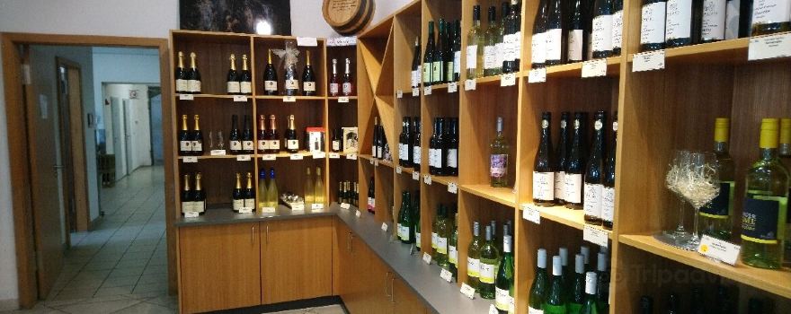 Winzergenossenschaft Kallstadt