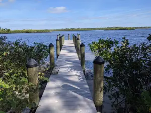 Myakka State Forest