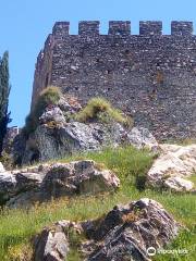 Castle of Alegrete