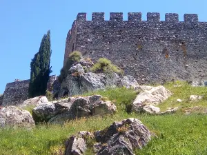 Castle of Alegrete