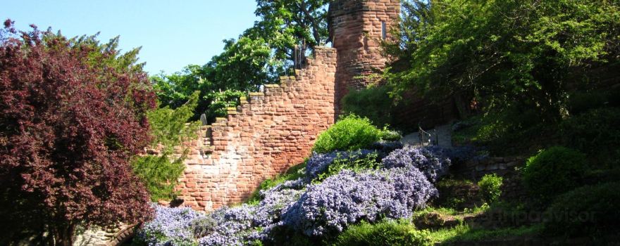 Chester City Walls