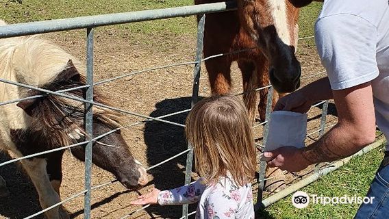 Mill Creek Bird Park and Animal Encounters