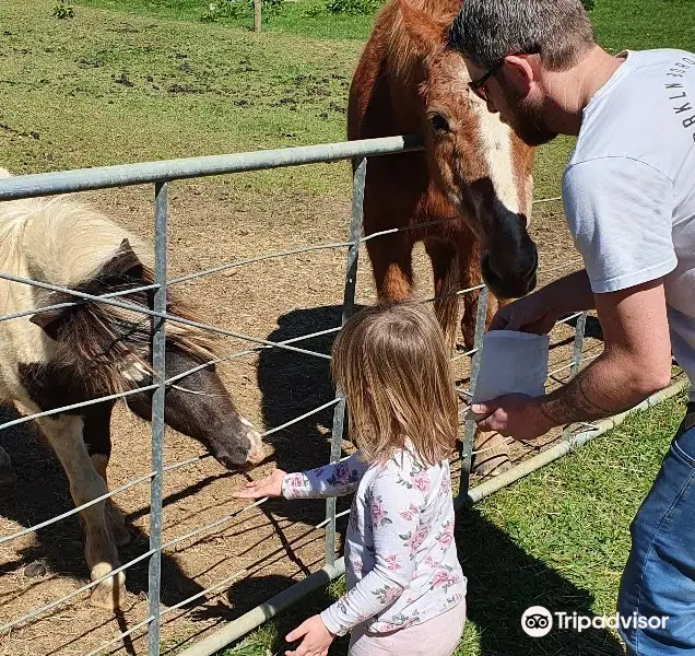 Mill Creek Bird Park and Animal Encounters