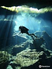 Dive by Leo - Ocean Reef & Cenote