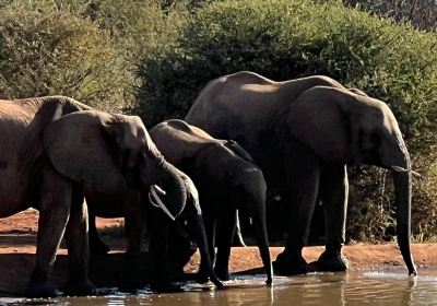 Madikwe Game Reserve