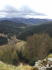 7stanes - Glentress