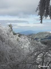 金剛山