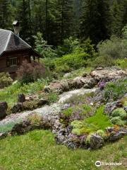 alpin Flore-Alpe Botanical Garden