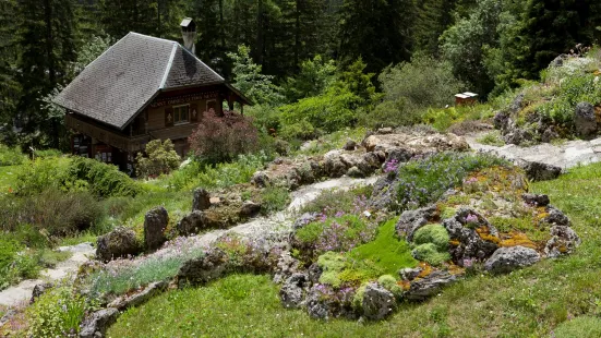 alpin Flore-Alpe Botanical Garden