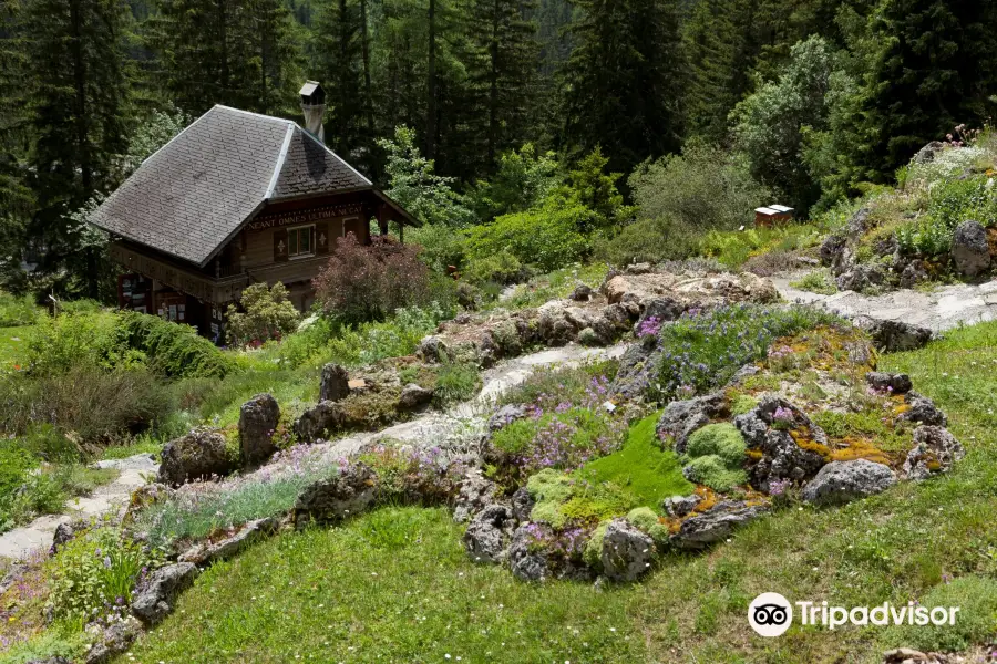 Jardin botanique alpin Flore-Alpe