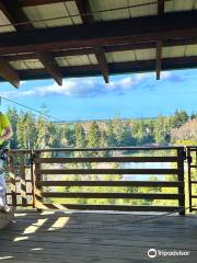 High Life Adventures Zip Line Tours