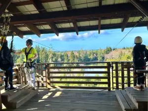 High Life Adventures Zip Line Tours