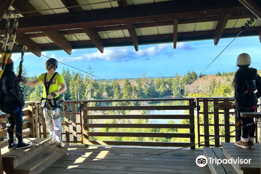 High Life Adventures Zip Line Tours