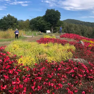 るるパーク（大分農業文化公園）