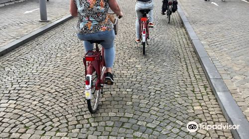 Bike Tours Maastricht