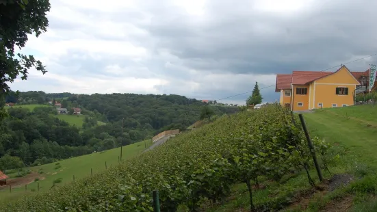 Weingut & Buschenschank Hütter