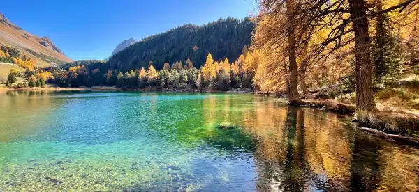 Albula District