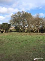 Croxley Common Moor