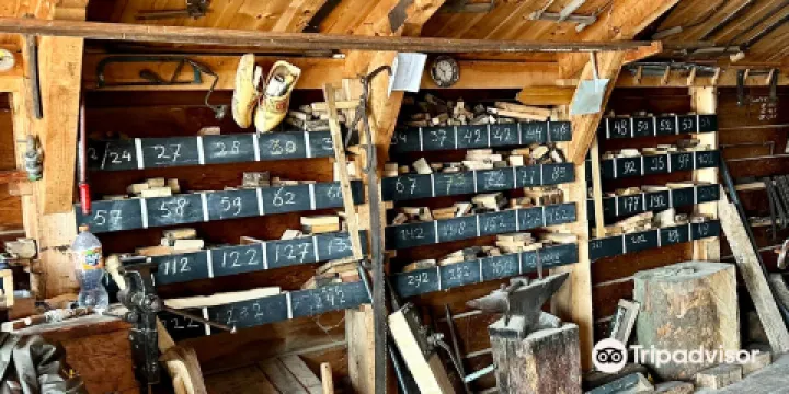 Het Jonge Schaap風車