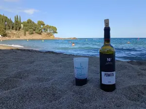 Platja de Grifeu