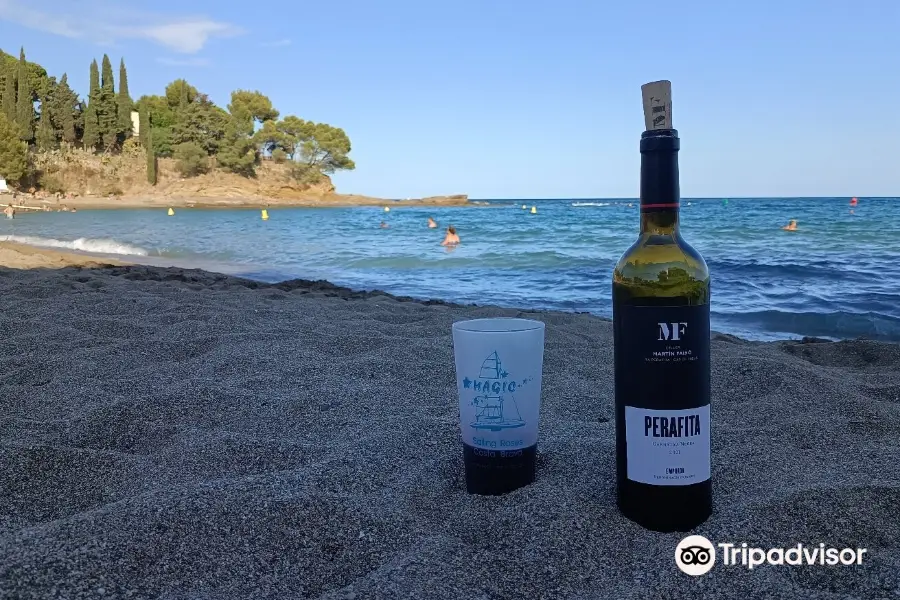 Platja de Grifeu