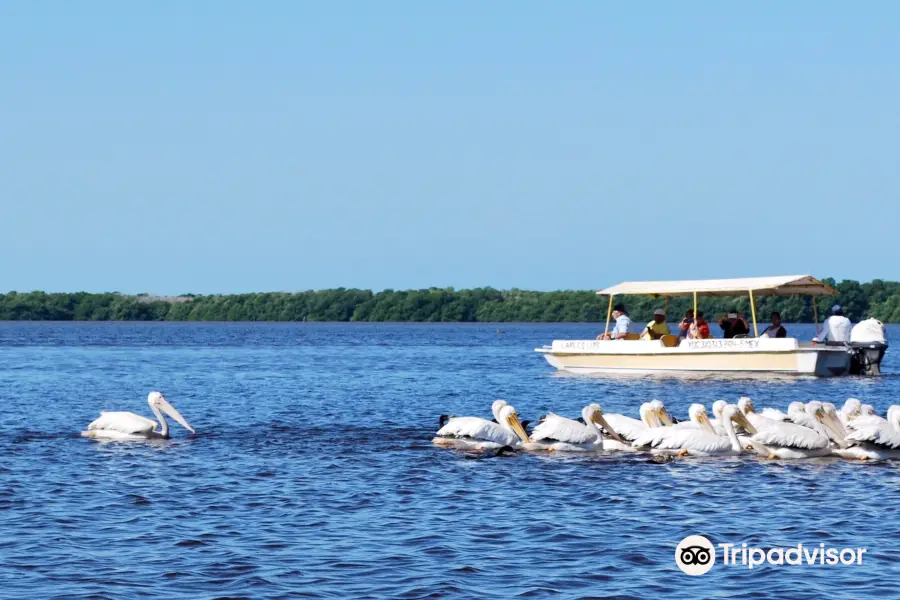 Ria Celestun Biosphere Reserve