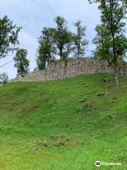 Helme Order Castle Ruins