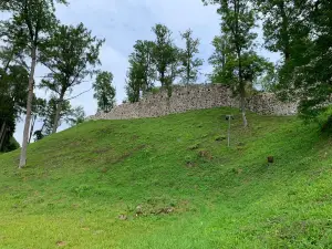 Helme Order Castle Ruins