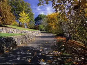 The Blue Mountains Botanic Garden