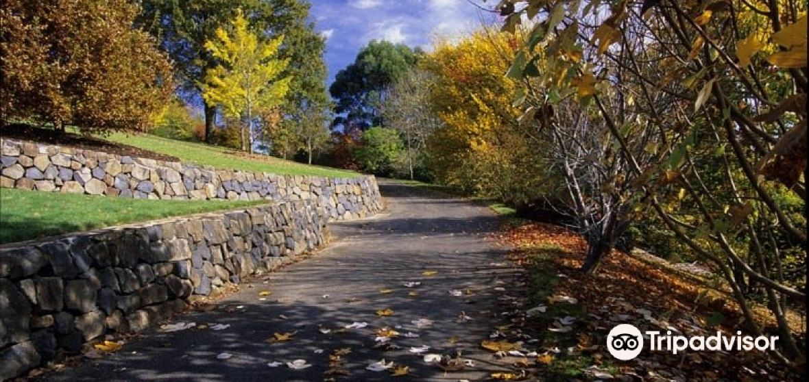 Things to Do in Mount Tomah in 2024 Top Attractions, Local Food