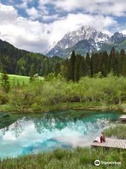 Zelenci Nature Reserve