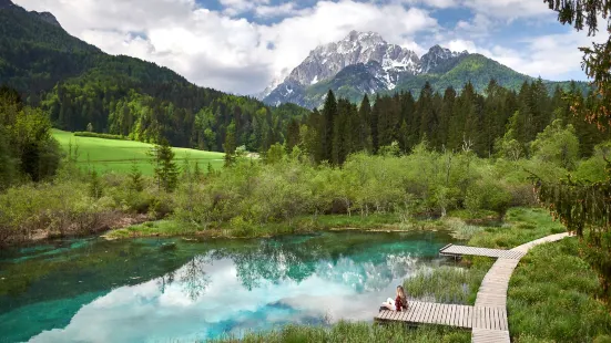 Zelenci Nature Reserve