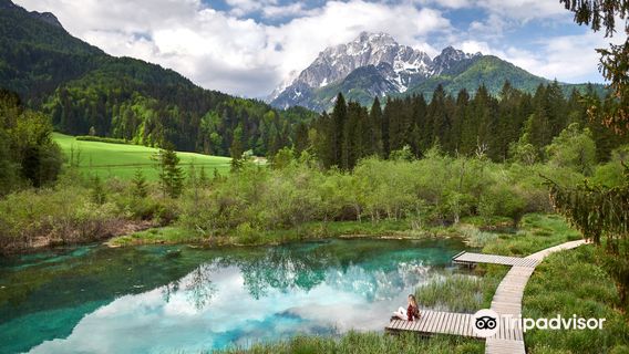Réserve naturelle de Zelenci