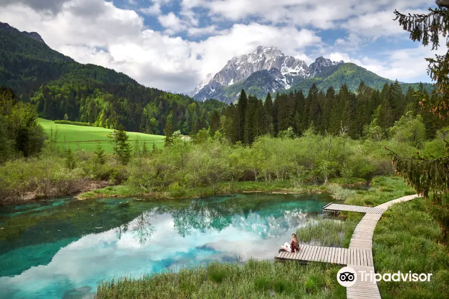 Naturreservat Zelenci