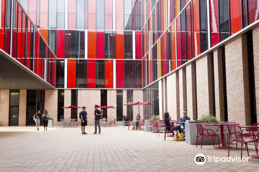 Université Saint Édouard