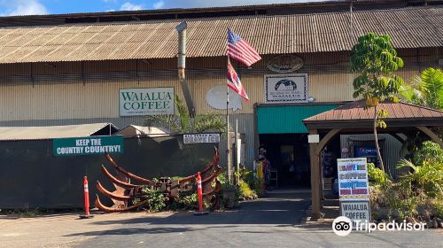 Waialua Estate Coffee and Chocolate