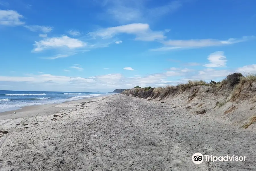 Waihi Beach