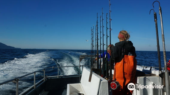 Inlet Charters Across Alaska Adventures