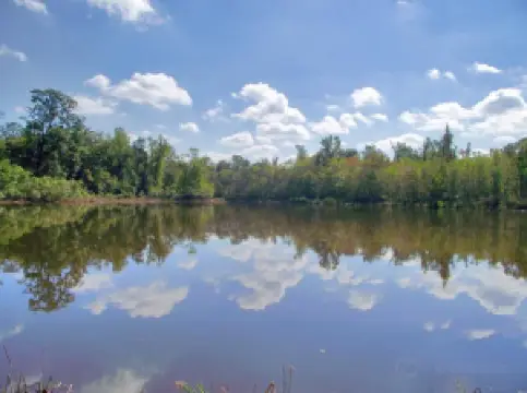 Palmetto Island State Park