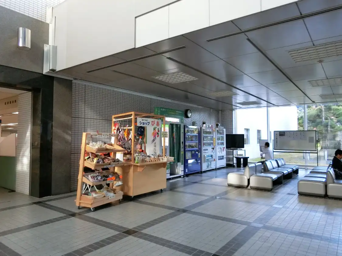 帯広市役所附近的飯店